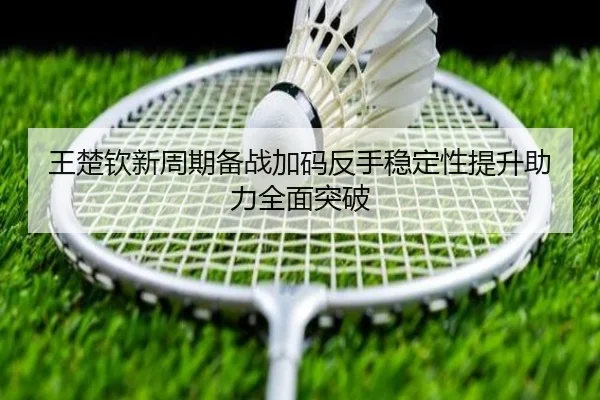 王楚钦新周期备战加码反手稳定性提升助力全面突破